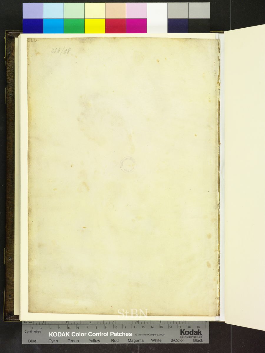 Amb. 279.2° Folio 100 verso